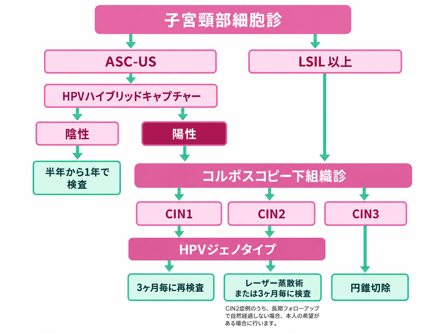 子宮頸部異形成の検査・治療の流れ。子宮頸部細胞診でASC-USの場合はHPVハイブリッドキャプチャーを行い、陰性なら半年から1年で検査、陽性ならコルポスコピー下組織診へ進みます。LSIL以上の場合もコルポスコピー下組織診へ進みます。組織診の結果、CIN1・CIN2はHPVジェノタイプ検査を行い、3ヶ月毎に再検査、またはレーザー蒸散術もしくは3ヶ月毎に検査となります。レーザー蒸散術は、CIN2症例のうち長期フォローアップで自然経過しない場合、本人の希望がある場合に行います。CIN3は円錐切除を行います。